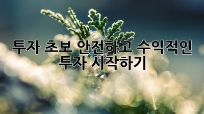투자 초보, 안전하고 수익적인 투자 시작하기
