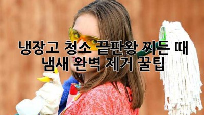 냉장고 ✨청소✨ 끝판왕! 찌든 때 & 냄새 완벽 제거 꿀팁 🍯